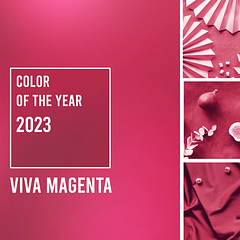 Viva Magenta - The Pantone colour of 2023 - Company of Master